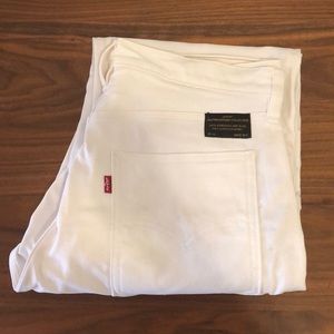 Levi’s Skateboarding Carpenter Pant